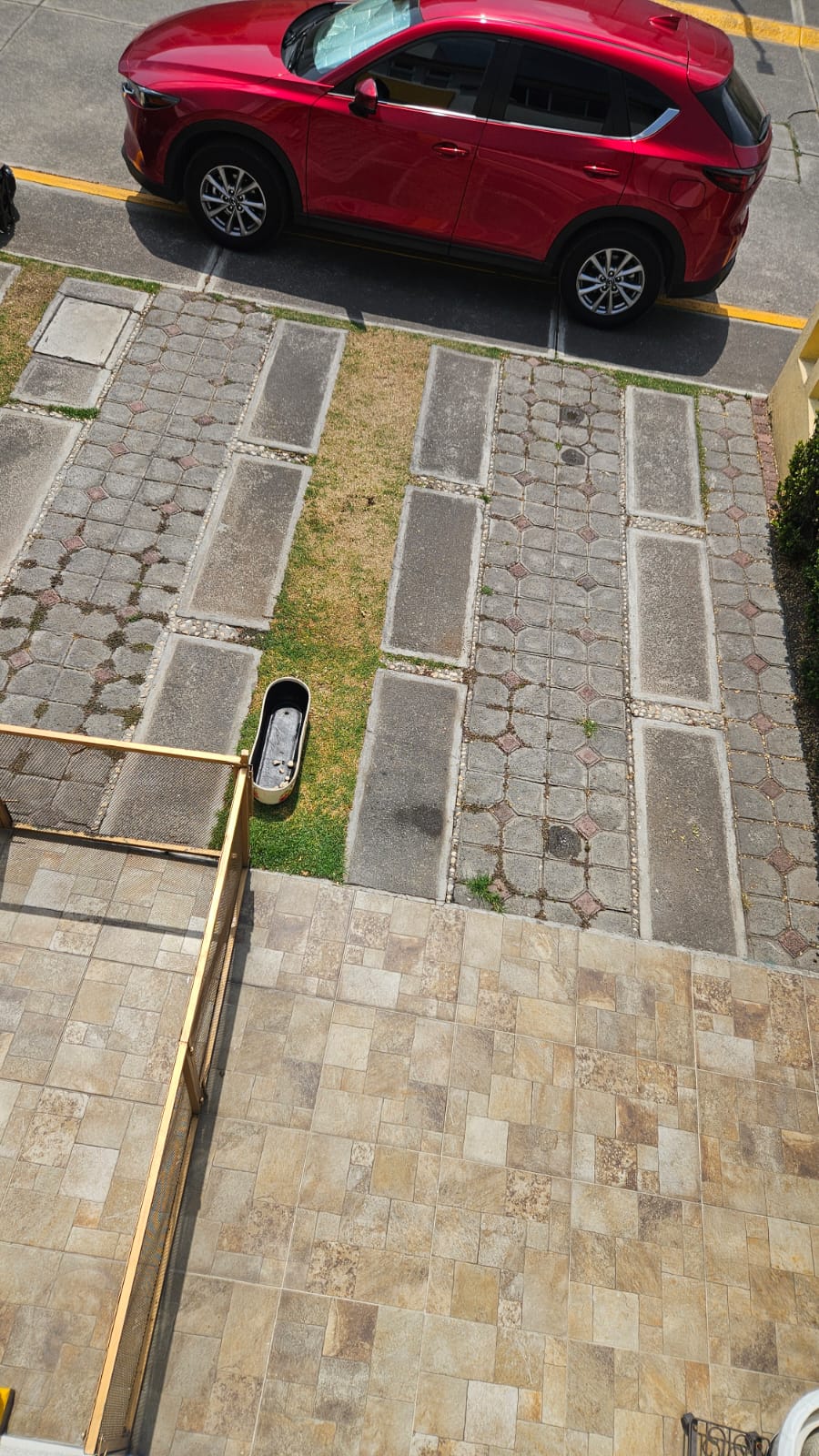 Miniatura 15